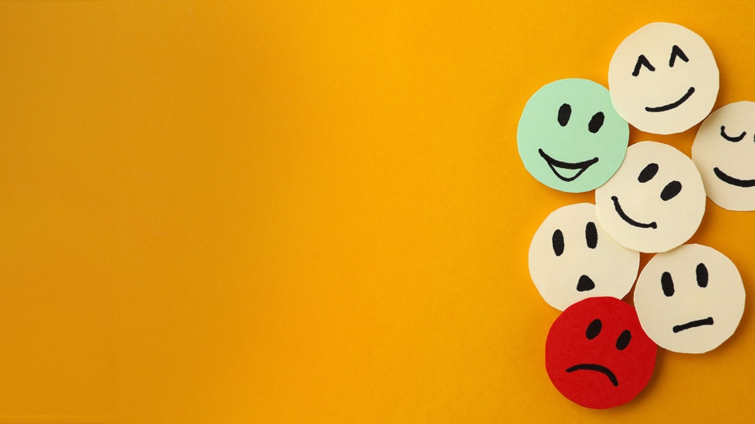 Empathetic Communication and Emotional Management ECEMSKv2_LIA